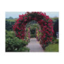 Lovely Climbing Rose Arches Postcards