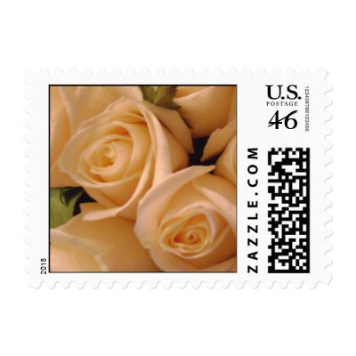 Lovely Cream Roses Wedding Postage by 369Design