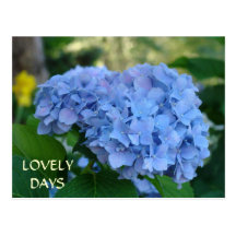 LOVELY DAY in LOVE! post cards Valentine's Day
