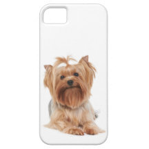 Lovely dog iPhone 5 case