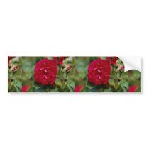 Lovely Floribunda Bumper Stickers