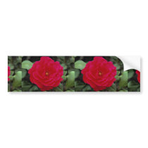 Lovely Floribunda Bumper Sticker
