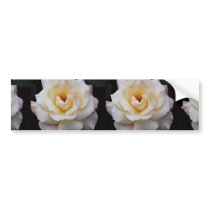 Lovely Floribunda Bumper Stickers