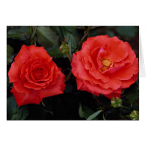 Lovely Floribunda Card