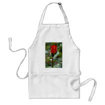 Lovely Floribunda 'Charisma' Aprons