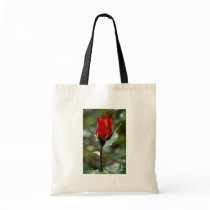 Lovely Floribunda 'Charisma' Bag