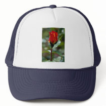 Lovely Floribunda 'Charisma' Hat