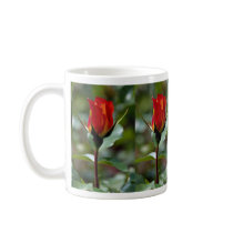 Lovely Floribunda 'Charisma' Mug