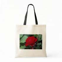 Lovely Floribunda 'Europeana' Bag