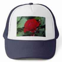 Lovely Floribunda 'Europeana' Hat