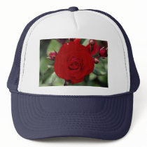 Lovely Floribunda 'Europeana' Mesh Hats