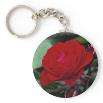 Lovely Floribunda 'Europeana' Key Chain