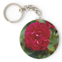 Lovely Floribunda Key Chains