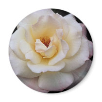 Lovely Floribunda Refrigerator Magnets