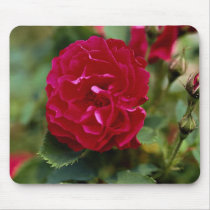 Lovely Floribunda Mousepads