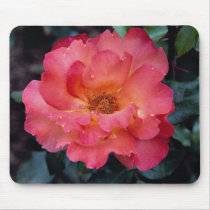 Lovely Floribunda 'Orangeade' Mouse Pads
