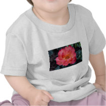 Lovely Floribunda 'Orangeade' Shirt
