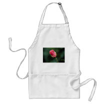 Lovely Floribunda 'Pleasure' Apron