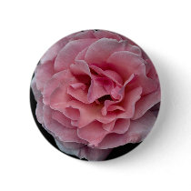 Lovely Floribunda 'Pleasure' Pinback Buttons