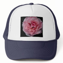 Lovely Floribunda 'Pleasure' Hats