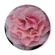 Lovely Floribunda 'Pleasure' Fridge Magnet