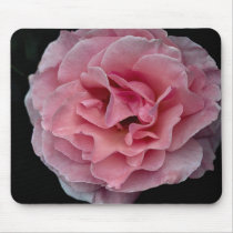 Lovely Floribunda 'Pleasure' Mouse Pads
