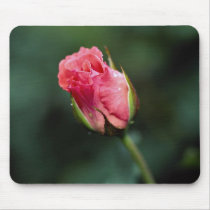 Lovely Floribunda 'Pleasure' Mousepads