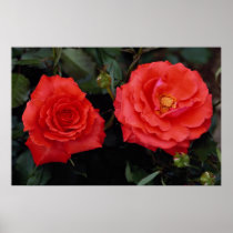 Lovely Floribunda Poster