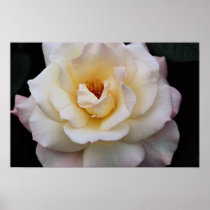 Lovely Floribunda Print