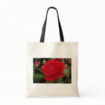 Lovely Floribunda 'Showbiz' Tote Bags