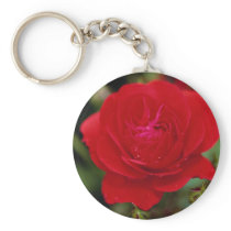 Lovely Floribunda 'Showbiz' Key Chains