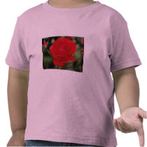 Lovely Floribunda 'Showbiz' T-shirt