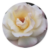 Lovely Floribunda Stickers