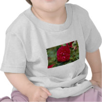 Lovely Floribunda Tees
