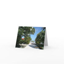 Lovely Greeting Cards by Jadavision