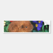 Lovely Hamster 70 Bumper Sticker