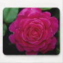 Lovely Hybrid Tea Rose 'Tiffany'leaves Mouse Pad