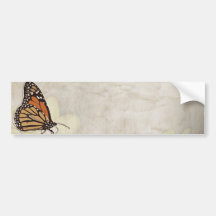 lovely monarch butterlies design bumper sticker