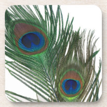 Lovely Peacock Feathers with White Drink Coaster