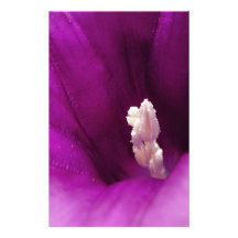 Lovely Pink Flower Stationery Paper