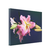 Lovely Pink Lilies Gallery Wrap Canvas