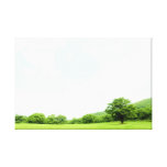 Lovely prairie landscape 22  Stretched Canvas Prin Stretched Canvas Prints