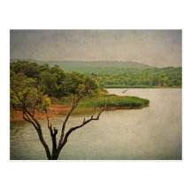 Lovely View at Cedar Hill postcard