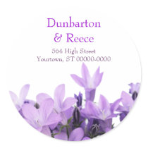 Lovely Violets Stickers