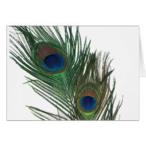 Lovely White Peacock Feather