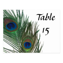 Lovely White Peacock Wedding Table Numbers Postcard