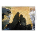 Lovers at Laguna cards