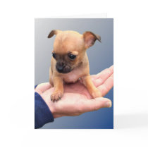 Loving Hands Cards
