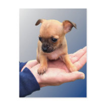 Loving Hands Postcards
