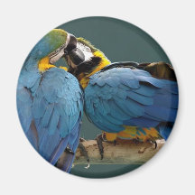 loving parrots refrigerator magnet